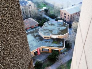 Wabe von oben Thälmann-Park Berlin