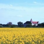 Blick zum Schloss Pretzsch