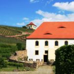 Weingut Seußlitz